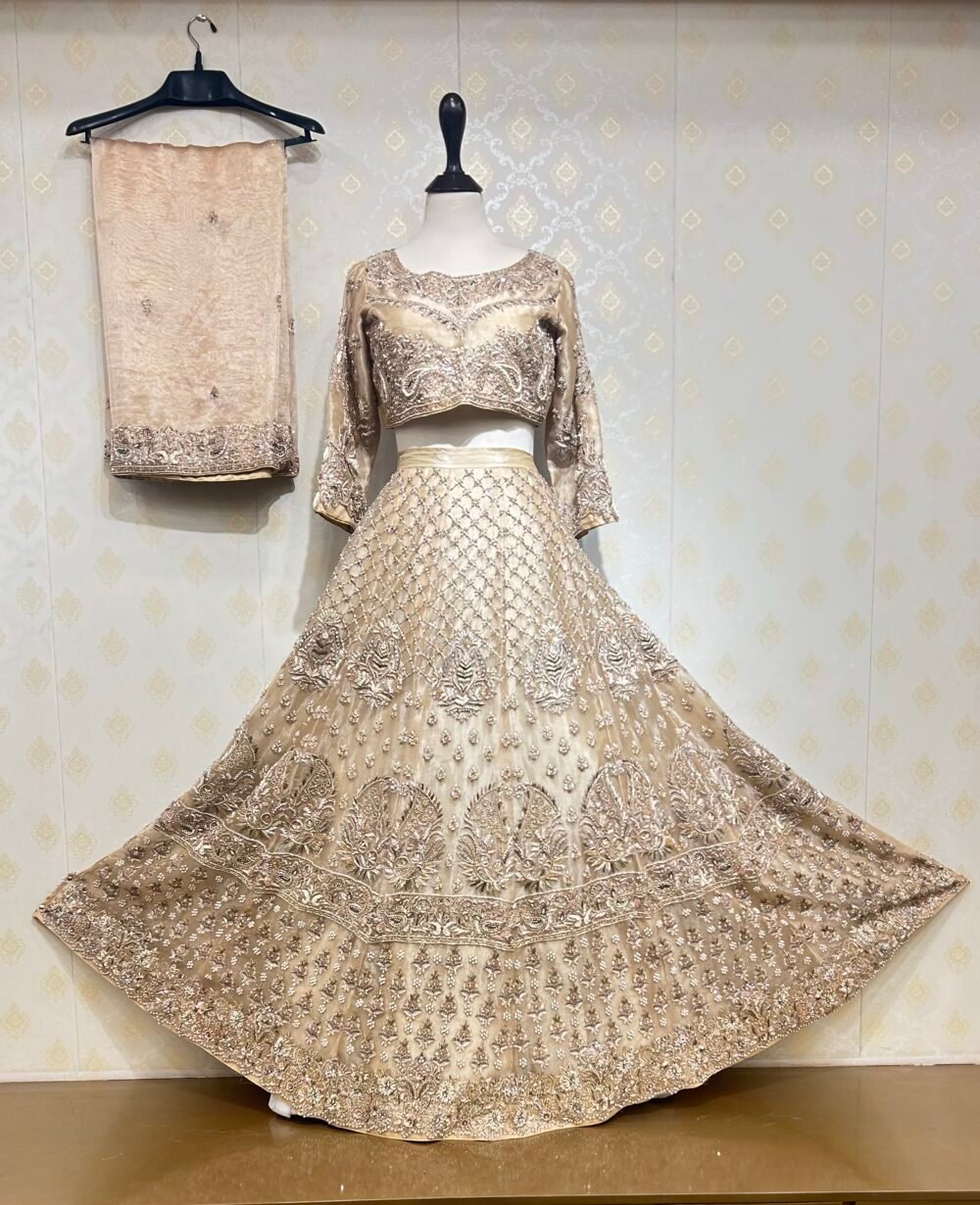 Celestial Charm Lehenga